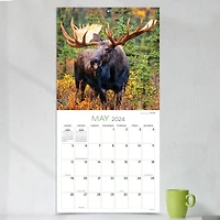 TF Publishing 2024 Wild Wall Calendar