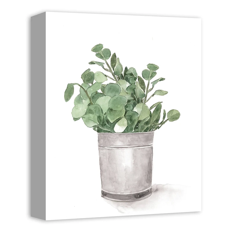 Bucket of Eucalyptus 11" x 14" Canvas Wall Art
