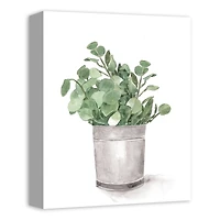 Bucket of Eucalyptus 11" x 14" Canvas Wall Art
