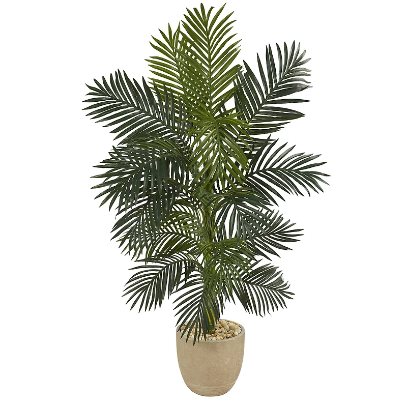 5ft. Golden Cane Palm Tree in Sandstone Planter
