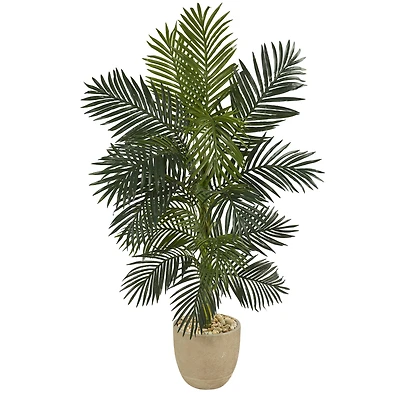 5ft. Golden Cane Palm Tree in Sandstone Planter