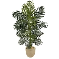 5ft. Golden Cane Palm Tree in Sandstone Planter