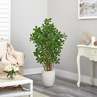 4.5ft. Black Olive Tree in White Planter