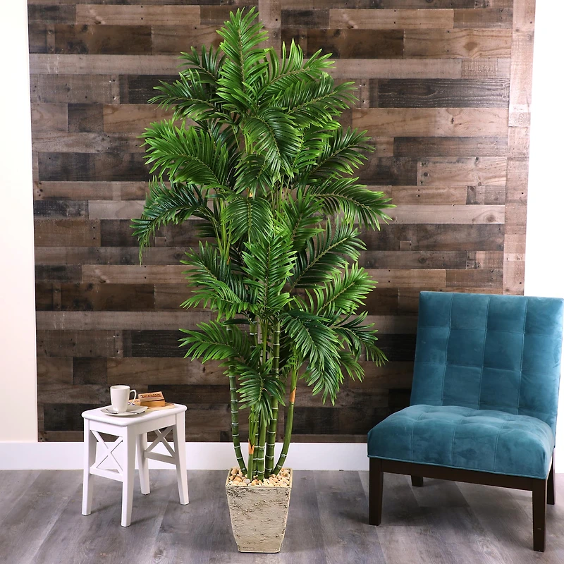 6ft. Areca Palm Tree in Country White Planter