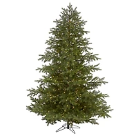 7.5ft. Pre-Lit South Carolina Spruce Real Touch Artificial Christmas Tree, Warm White LED Lights