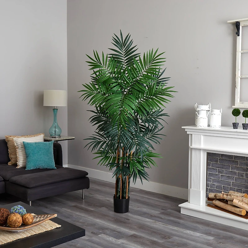 6ft. Potted Bulb Areca Palm Tree