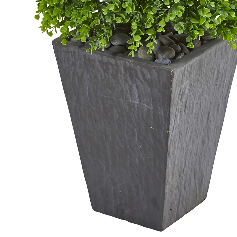 5ft. Eucalyptus Topiary Tree in Slate Planter