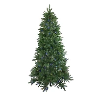 6.5ft. Pre-Lit Neola Fraser Fir Artificial Christmas Tree, Dual LED Lights