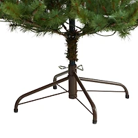 6ft. Pre-Lit Vancouver Mountain Pine Artificial Christmas Tree, Clear Lights