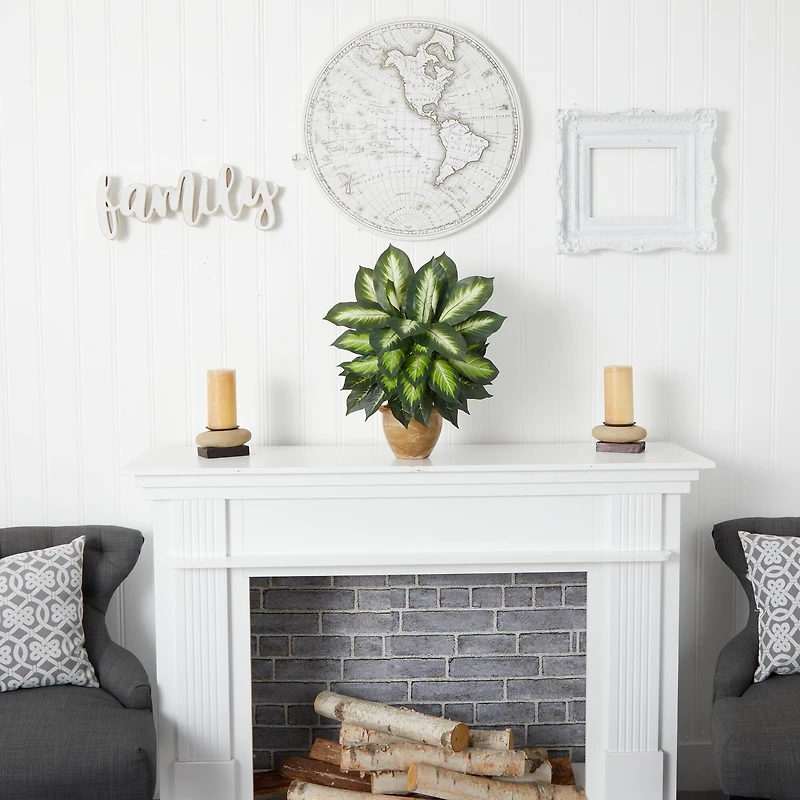 18" Dieffenbachia Tree In Ceramic Planter