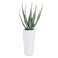 The Novogratz 3ft. Contemporary Style Succulent Artificial Foliage in White Pot