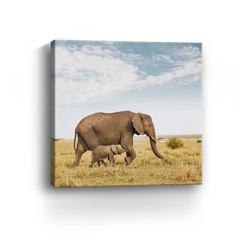 By Mom'S Side Canvas Giclee