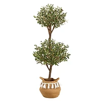 4.5ft. Artificial Olive Double Topiary in Cotton Basket