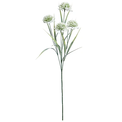 26.5" White & Green Allium Stem by Ashland®