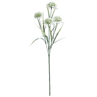 26.5" White & Green Allium Stem by Ashland®