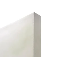 Elephant & Monks Walking Meditation Glossy Canvas Art