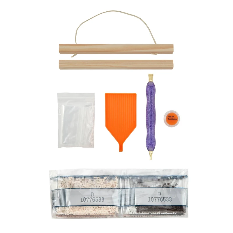 8" x 10" Spider Skull Diamond Art Kit with Magnetic Frame by Make Market®