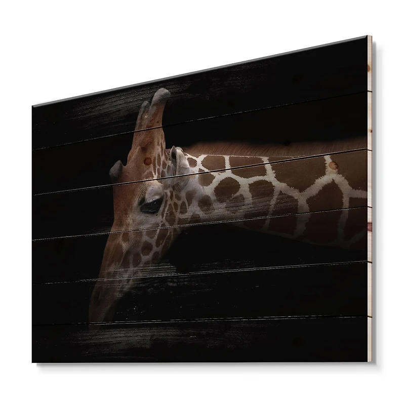 Designart - Portrait of A Giraffe IV
