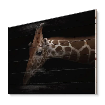 Designart - Portrait of A Giraffe IV