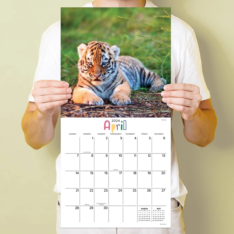 TF Publishing 2024 Baby Animals Wall Calendar