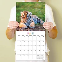 TF Publishing 2024 Baby Animals Wall Calendar