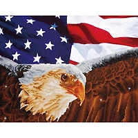 Diamond Dotz® Advanced Bald Eagle & Flag Diamond Painting Kit
