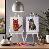 Duo Cat Diamond Art Kit by Make Market®