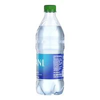 Dasani® Bottled Water, 20oz.