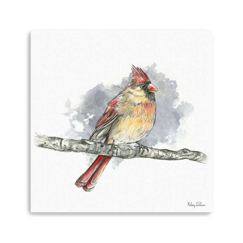 Birds Branches II Female Cardinal Canvas Giclee
