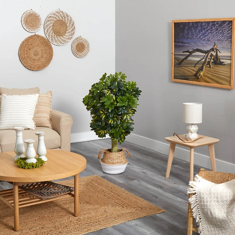 4ft. Schefflera Artificial Tree in Boho Chic Handmade Cotton & Jute Woven Planter (Real Touch