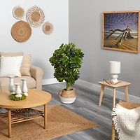 4ft. Schefflera Artificial Tree in Boho Chic Handmade Cotton & Jute Woven Planter (Real Touch
