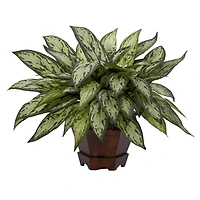 14" Triple Silver Queen Silk Plant in Hexagon Vase