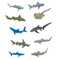Safari Ltd® TOOB® Sharks