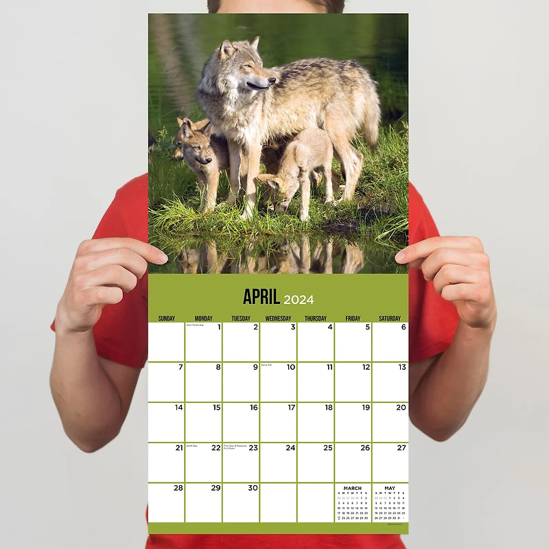 TF Publishing Wolves Wall Calendar