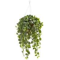 4.5ft. Real Touch™ Fittonia Plant in Hanging Cone Basket