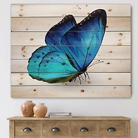 Designart - Vibrant Blue Butterfly