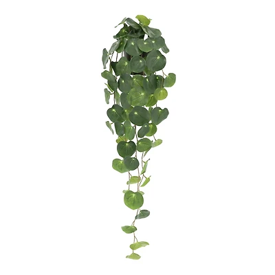 32" Green Dripping Peperomia Plant in Pot by Ashland®
