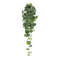 32" Green Dripping Peperomia Plant in Pot by Ashland®