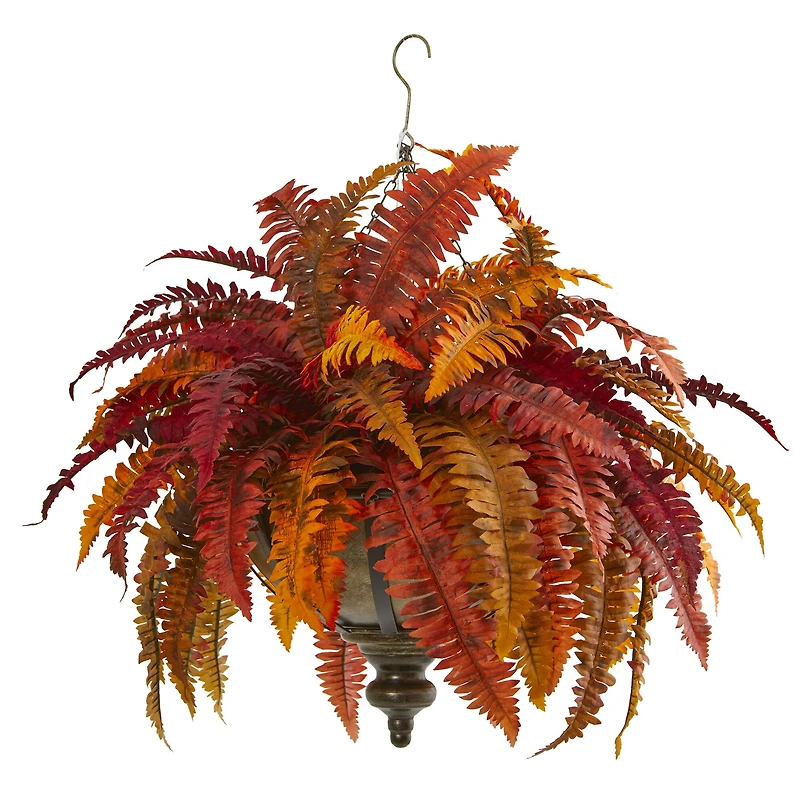 2ft. Autumn Boston Fern in Hanging Metal Bowl
