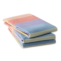 Rainbow Heavyweight Dishtowel and Dishcloth (Set of 6)