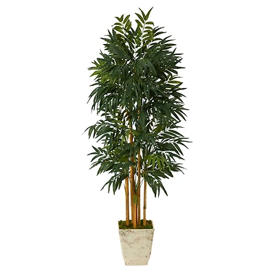 6ft. Phoenix Palm Tree in Country White Planter