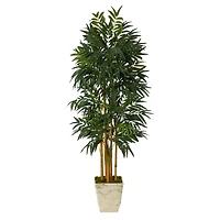 6ft. Phoenix Palm Tree in Country White Planter