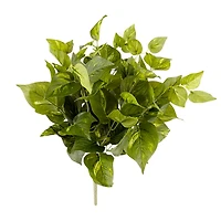 12 Pack: Pothos Bush by Ashland® Real Touch™