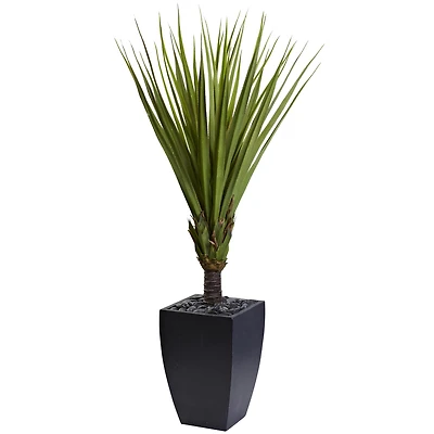 5.4ft. Spiky Agave Artificial Tree in Black Planter
