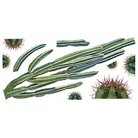 RoomMates Cactus Giant Peel & Stick Wall Decals