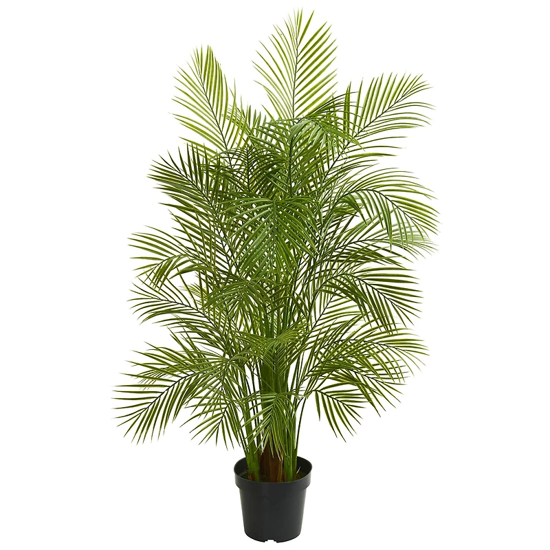 5.5ft. Potted Areca Palm Tree 