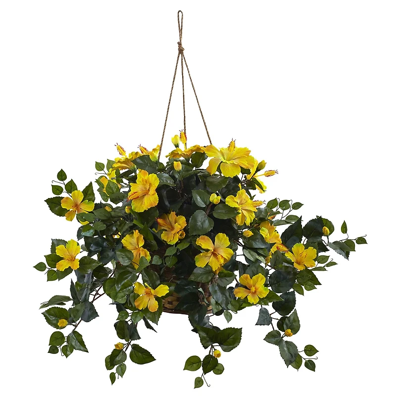 22" Yellow Hibiscus In Hanging Basket