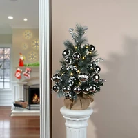 2ft. Pre-Lit Frosted Silver Pine Artificial Christmas Tree, Warm White LED Lights