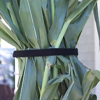 VELCRO® Brand ONE-WRAP® Black Roll, 12ft.