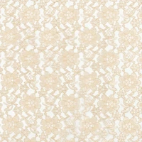 Champagne Raschel Lace
